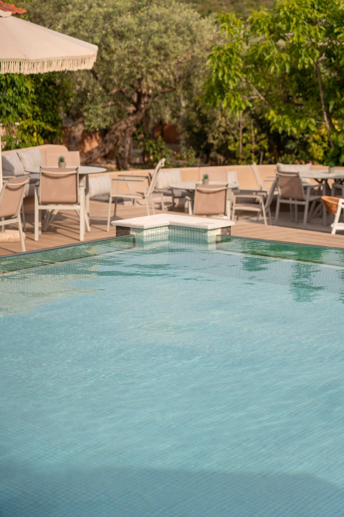The swimming pool with sunbeds